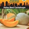 Hales Best Cantaloupe Organic Seeds 2 Hales Best Cantaloupe Organic Seeds -Plant Supports Shop 8611872 02v hales best cantaloupe organic seeds