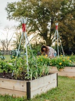 DIY Connector For Teepee Trellis -Plant Supports Shop 8611896 38 tif