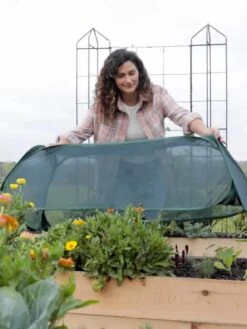 Insect And Pest Net Row Protector -Plant Supports Shop 8611985 8390 tif