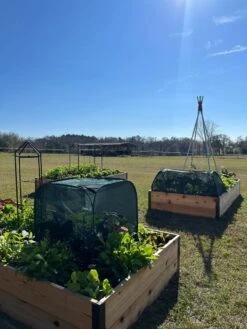 Pest Control Pop-Ups -Plant Supports Shop 8611989 05 tif