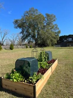 Pest Control Pop-Ups -Plant Supports Shop 8611989 08 tif