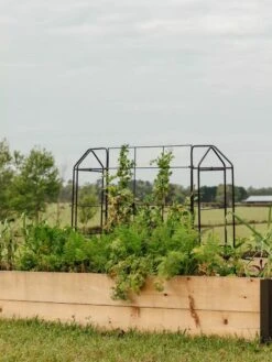 Zenith Trellis -Plant Supports Shop 8612035 549 tif