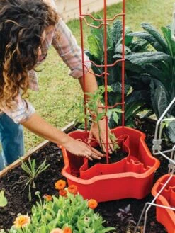 Deluxe Tomato Halos, Set Of 2 -Plant Supports Shop 8612045 135 tif