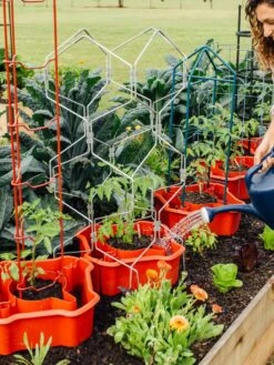 Front Page -Plant Supports Shop 8612045 161 tif