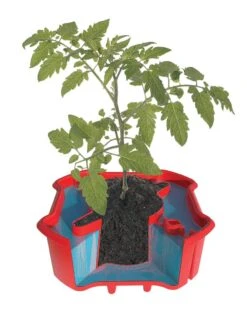 Deluxe Tomato Halos, Set Of 2 -Plant Supports Shop 8612045 crosshatch tif