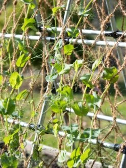 Coco Trellis Netting, 4' X 15' -Plant Supports Shop 8612050 005 tif