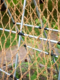 Front Page -Plant Supports Shop 8612050 1128 tif