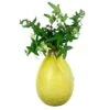 Achla Designs Teardrop Rooting Vase -Plant Supports Shop 8612530ye 01v
