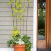 Flock Of Friends Pot Trellis 2 Flock Of Friends Pot Trellis -Plant Supports Shop 8612635 0081 flock of friends pot trellis