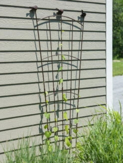 Flock Of Friends Wall Trellis -Plant Supports Shop 8612636 0007