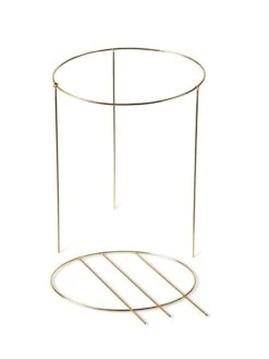 Brass Plated Grow Throughs, Set Of 2 -Plant Supports Shop 8612662 188