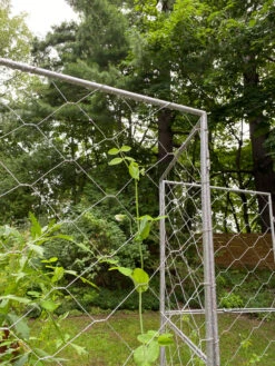 Chicken Wire Pea Trellis 20 Chicken Wire Pea Trellis -Plant Supports Shop 8612718 7302