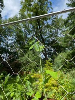 Chicken Wire Pea Trellis 19 Chicken Wire Pea Trellis -Plant Supports Shop 8612718 7311