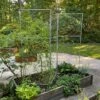 Chicken Wire Pea Trellis 1 Chicken Wire Pea Trellis -Plant Supports Shop 8612718 7313 chicken wire pea trellis
