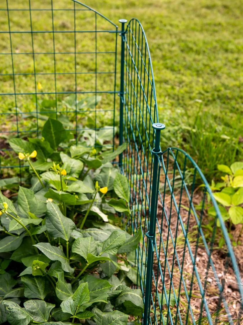6 Panel Critter Fence With Gate 9 6 Panel Critter Fence With Gate - Image 7