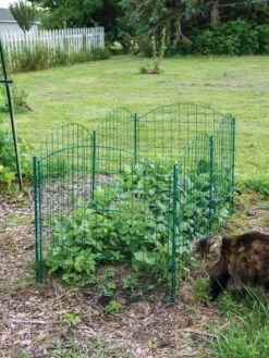 6 Panel Critter Fence With Gate 13 6 Panel Critter Fence With Gate -Plant Supports Shop 8612967 2570 tif