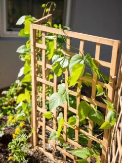 Bamboo Zig-Zag Trellis 24" X 36" 16 Bamboo Zig-Zag Trellis 24" X 36" -Plant Supports Shop 8613151 6467