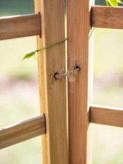 Bamboo Zig-Zag Trellis 24" X 36" 17 Bamboo Zig-Zag Trellis 24" X 36" -Plant Supports Shop 8613151 6483