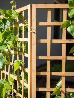 Bamboo Zig-Zag Trellis 24" X 36" 18 Bamboo Zig-Zag Trellis 24" X 36" -Plant Supports Shop 8613151 6491