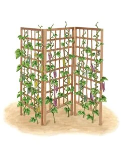 Bamboo Zig-Zag Trellis 24" X 36" 20 Bamboo Zig-Zag Trellis 24" X 36" -Plant Supports Shop 8613151 art flat