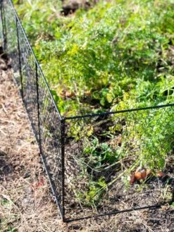 Chicken Wire Critter Fence, 16" High -Plant Supports Shop 8613249 0309
