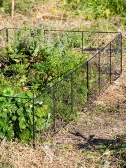 Chicken Wire Critter Fence, 16" High -Plant Supports Shop 8613249 0336