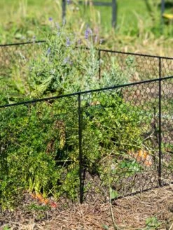 Chicken Wire Critter Fence, 16" High -Plant Supports Shop 8613249 0352