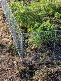 Chicken Wire Critter Fence, 16" High -Plant Supports Shop 8613249 0358