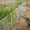 Chicken Wire Critter Fence, 16" High -Plant Supports Shop 8613249 0368 chicken wire critter fence 16 inches high