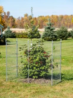 Tall Chicken Wire Critter Fence Extension Panel, Set Of 2 19 Tall Chicken Wire Critter Fence Extension Panel, Set Of 2 -Plant Supports Shop 8613260 0030 1