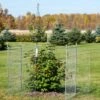 Tall Chicken Wire Critter Fence Extension Panel, Set Of 2 -Plant Supports Shop 8613260 0036