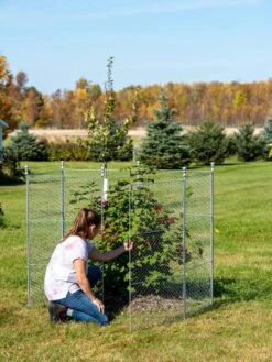 Tall Chicken Wire Critter Fence With Gate -Plant Supports Shop 8613260 0044