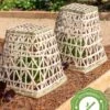 Bamboo Cloche, Set Of 2 -Plant Supports Shop 8613351 12