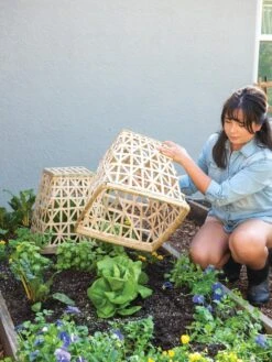 Bamboo Cloche, Set Of 2 -Plant Supports Shop 8613351 6862