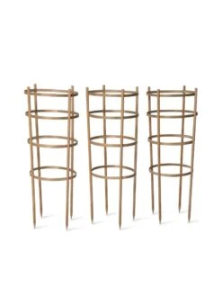 Bamboo Tomato Cages, Set Of 3 17 Bamboo Tomato Cages, Set Of 3 -Plant Supports Shop 8613426 4679 bamboo tomato cages 3