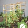 Bamboo Tomato Cages, Set Of 3 1 Bamboo Tomato Cages, Set Of 3 -Plant Supports Shop 8613426 7