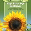 Hopi Black Dye Sunflower Organic Seeds 1 Hopi Black Dye Sunflower Organic Seeds -Plant Supports Shop 8613630 01v hopi black dye sunflower
