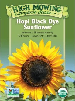 Hopi Black Dye Sunflower Organic Seeds