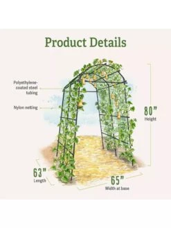 Titan Squash Tunnel -Plant Supports Shop B07932DMCR plantsupport product details