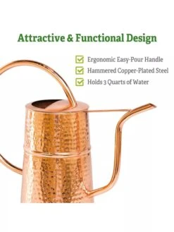 Copper Indoor Watering Can -Plant Supports Shop Copper Watering Can 1