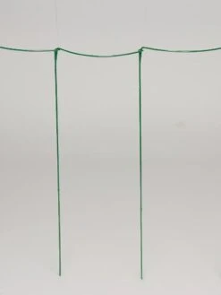 Curved Linking Stakes 10 Curved Linking Stakes -Plant Supports Shop GS35241 04S tif