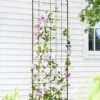 Jardin Flower Trellis -Plant Supports Shop GS38689 02 tif
