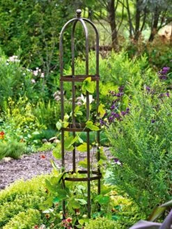 Jardin Bird Cage Support, 26" 10 Jardin Bird Cage Support, 26" -Plant Supports Shop GS39529 01 tif