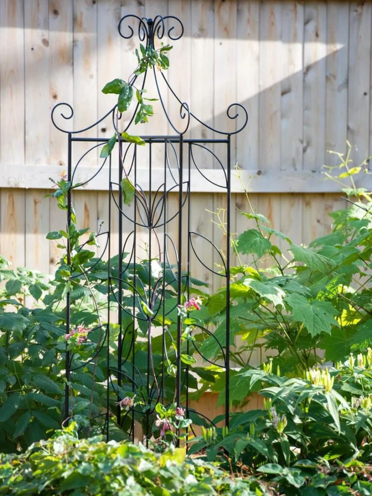 Front Page -Plant Supports Shop 8611658 035 tif 768x1024 1