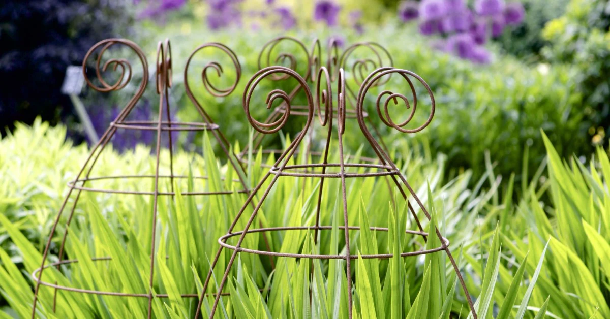 Front Page -Plant Supports Shop Argos plant supports