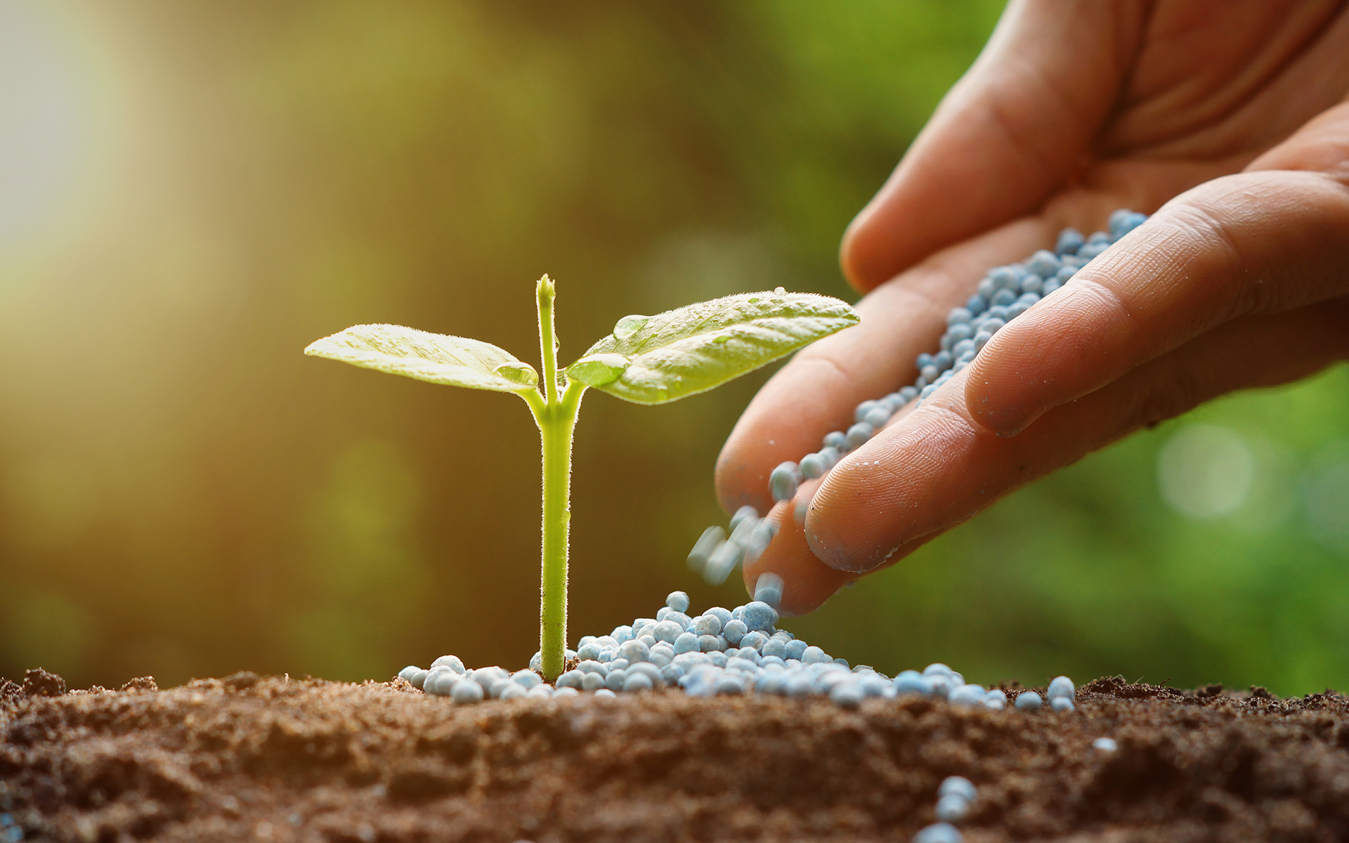 Front Page -Plant Supports Shop plants soils fertilizers